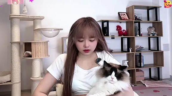 SakuraCat6