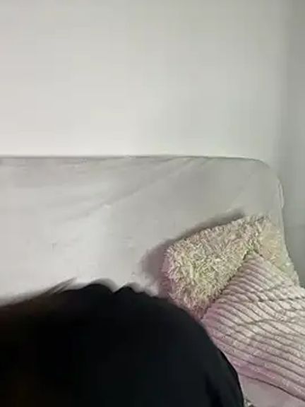PumaShyXD