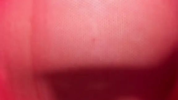 elis_gabbi