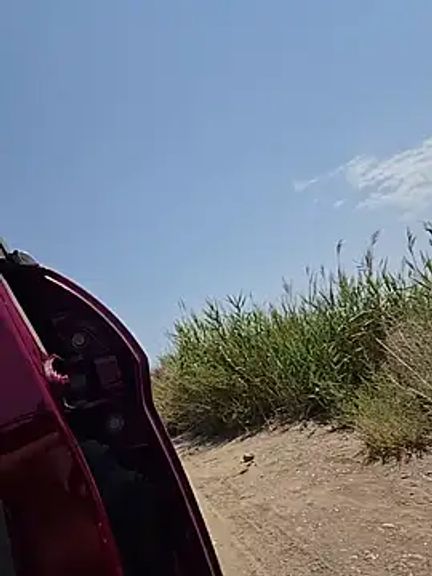 Susycachonda1