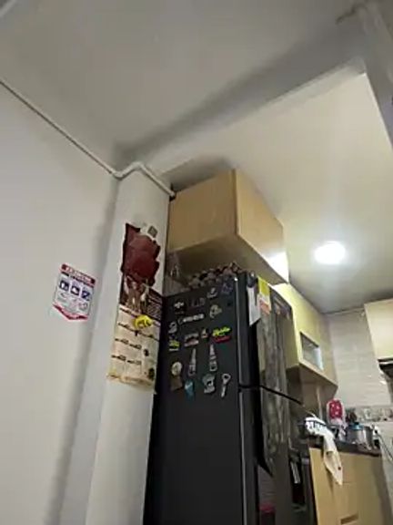 charlotte_stevenss_