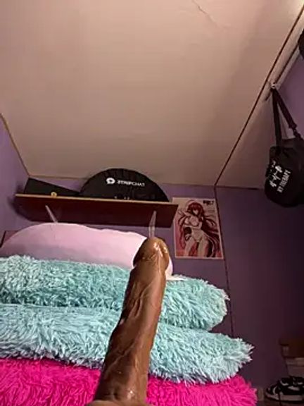 charlotte_stevenss_