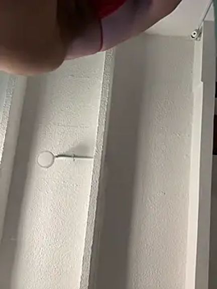 charlotte_stevenss_