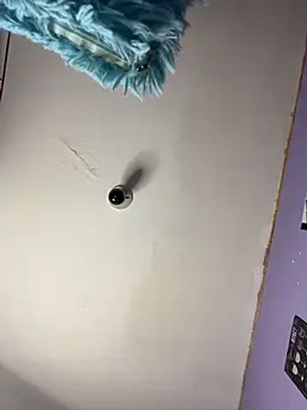 charlotte_stevenss_