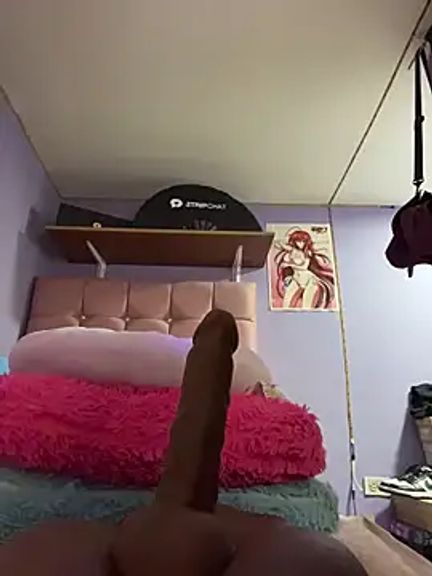 charlotte_stevenss_