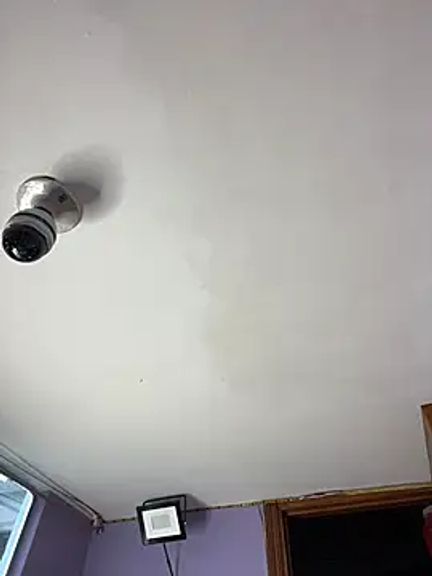 charlotte_stevenss_