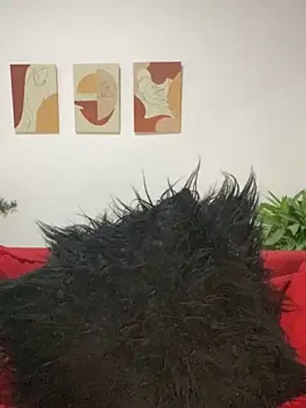 Melanyprada