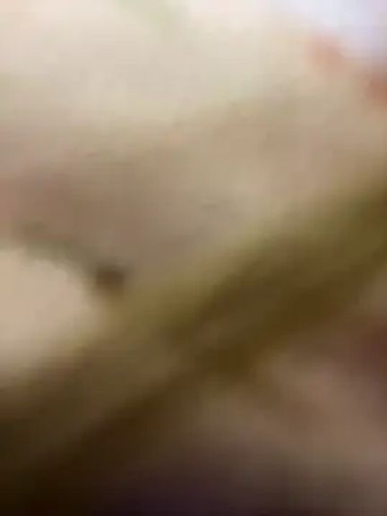 BelleLouiseVp