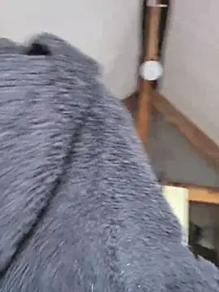 Lina_lou4
