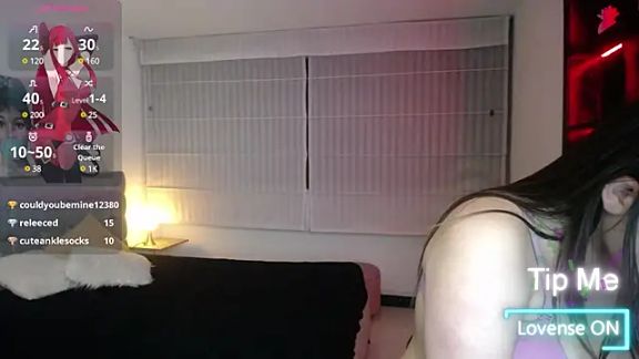 Kitten_Cam