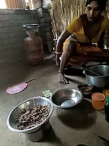 Starbhabhi