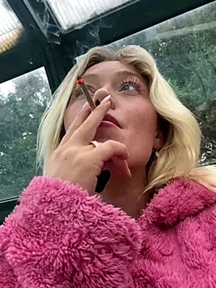 blissdimicco
