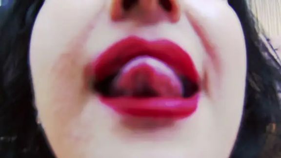 CassidyVelvet