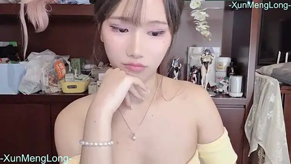 -XunMengLong-