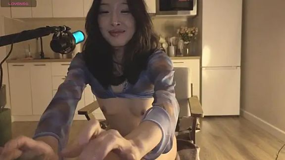 fairy_di
