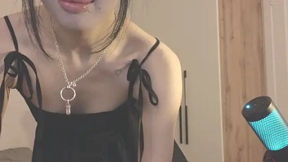 fairy_di