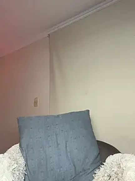 Samispank