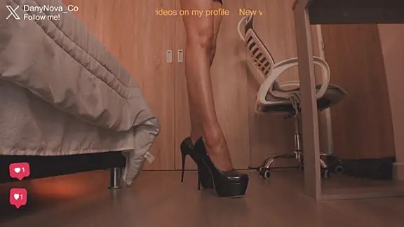 DanyNova_Co