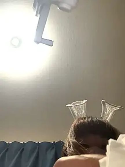 PINO_pino_01