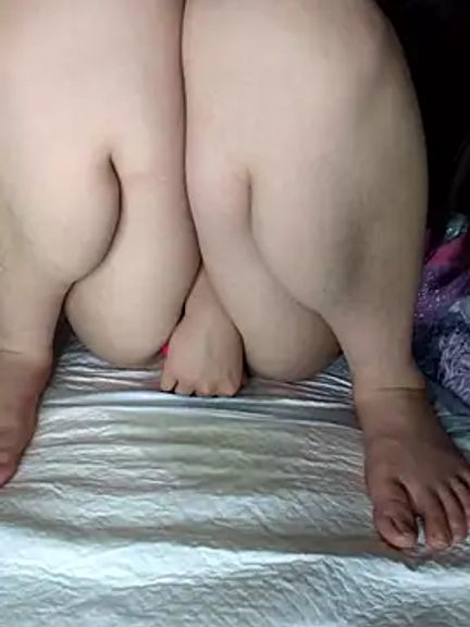 PINO_pino_01