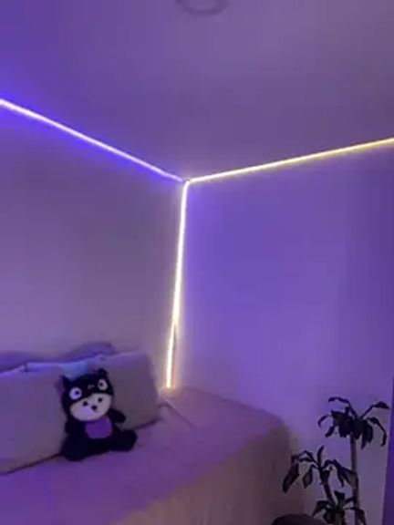 AmmyCollinsW