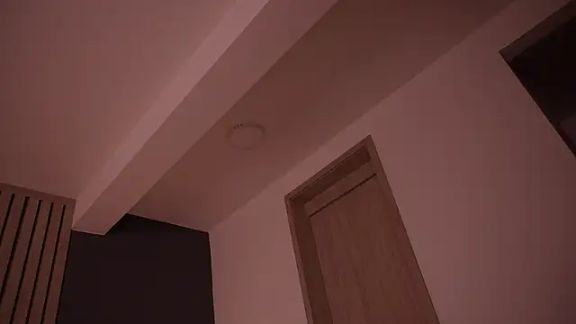 bella_adams_