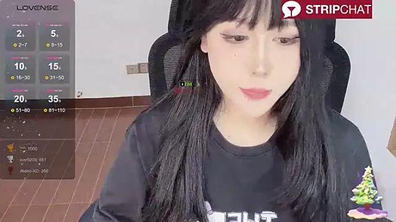 Naixue-520