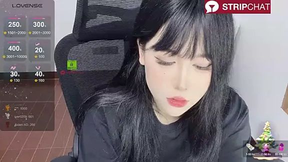 Naixue-520