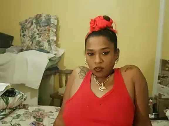 MiZzCreator
