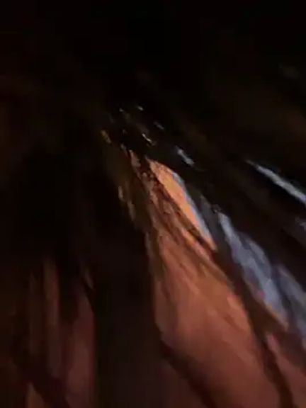 Halima_misshotpussy13