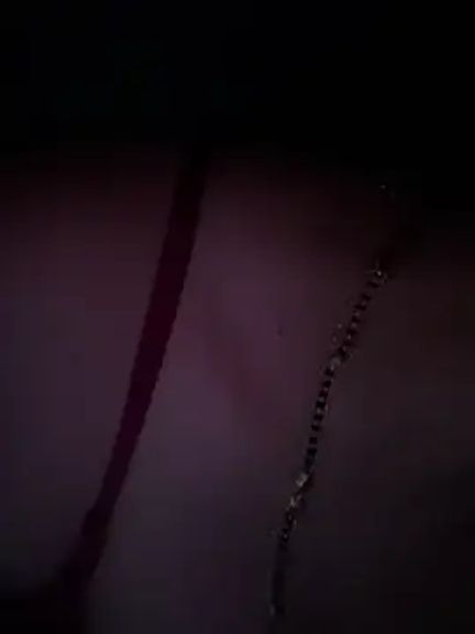 Notty-HotyBhabhi