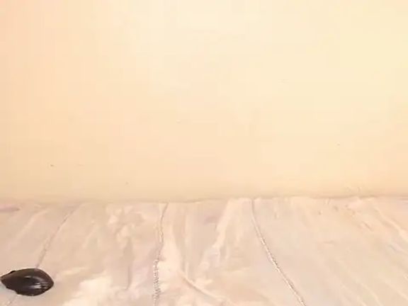 Karishma99_