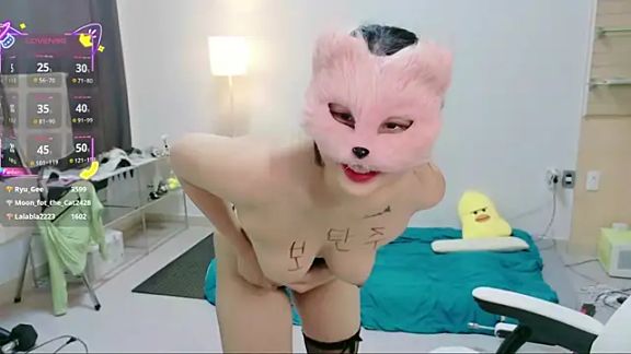 Kor_Cat