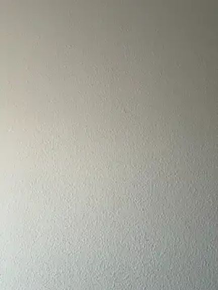 EmilyWi_
