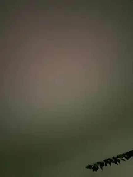 Naughtynotniceaussue