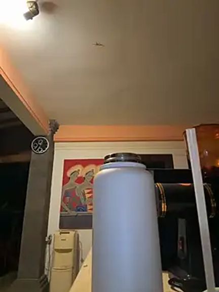 navywildxxx