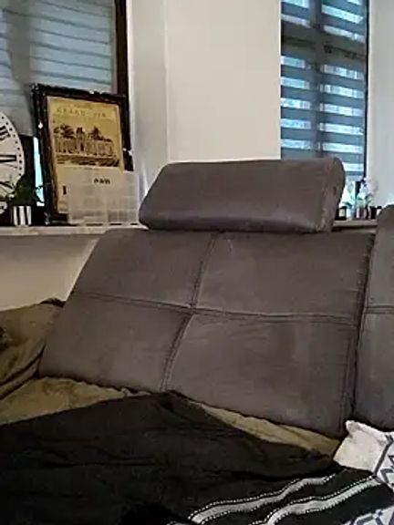 CurvyHornyTiffy