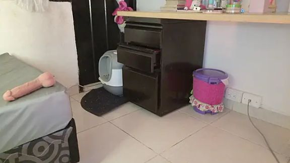 eva_sin18