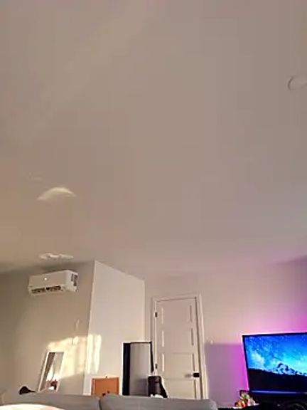 LilyOrion