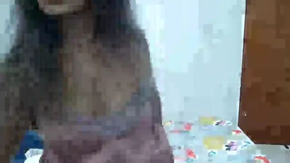 luz_stella