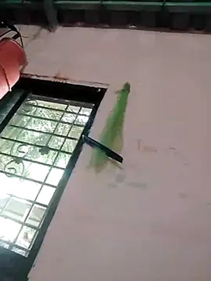 Sonia_Mehra6