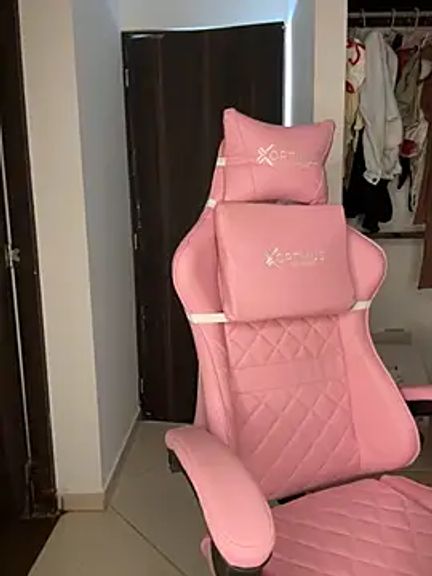 jailyncam_