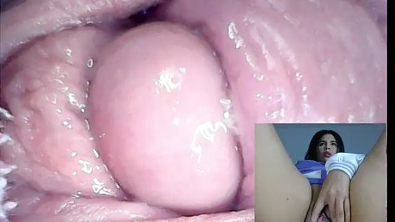 kamila-wc