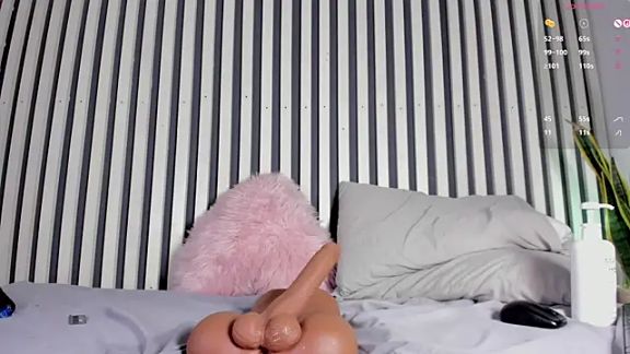 shysweets