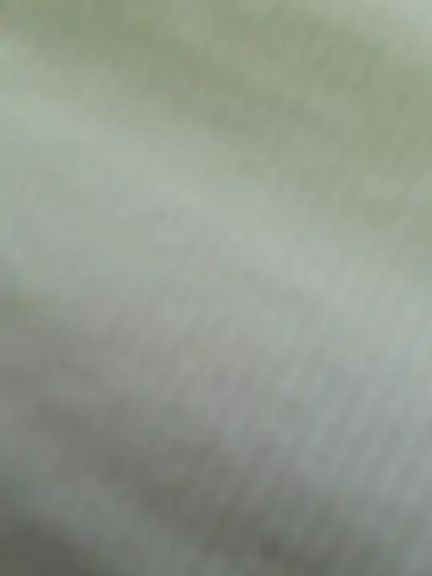 Bella_Gloria