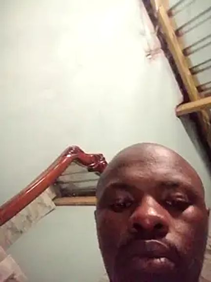DigCrok