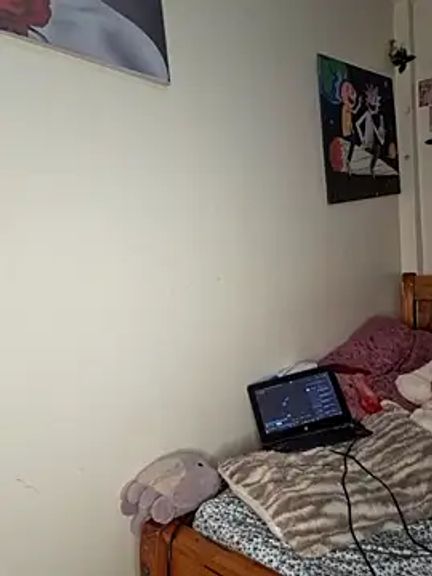 Bambii100