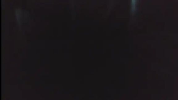 hairyandtiny