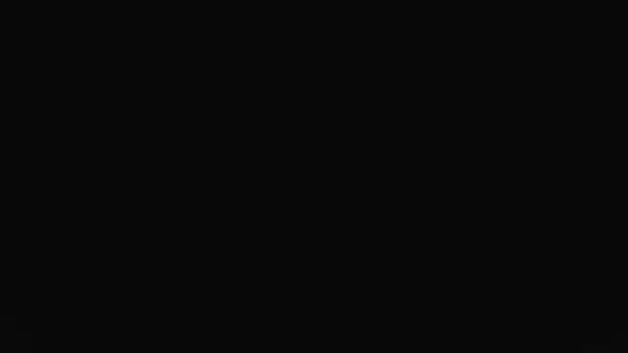 camilabb_xc