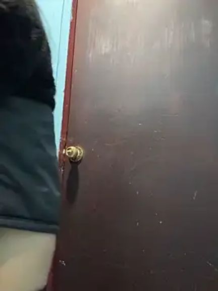Reinacatchile